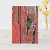 Barn Cat Getting Old Birthday Humor Card Kaart (Gele Bloem)