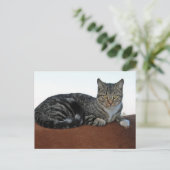 Barn Cat op Dunnit Briefkaart (Staand voorkant)