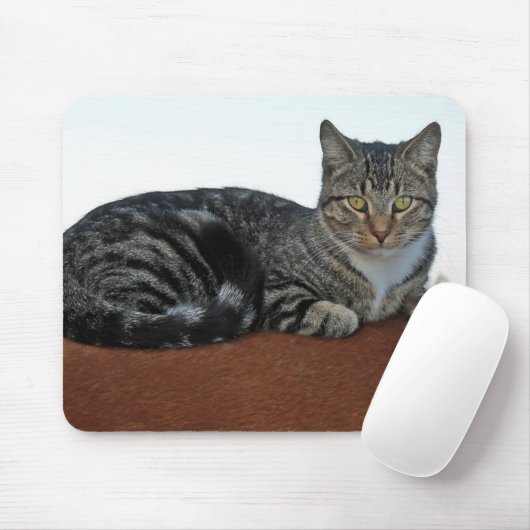 Barn Cat op Dunnit Muismat (Met muis)