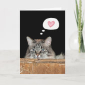 Barn Cat Thinking of You Kaart (Voorkant)