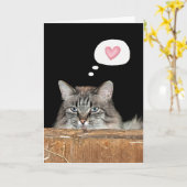 Barn Cat Thinking of You Kaart (Gele Bloem)