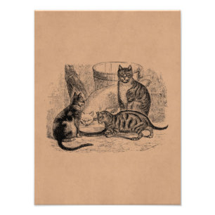 Barn Cats 1800s  de Sjabloon van de Illustratie v Foto Afdruk