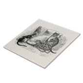  Barn Cats 1800s  de Sjabloon van de Illustratie v Tegeltje (Zijkant)