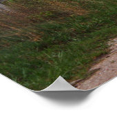 Barn E Poster (Hoek)