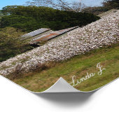 Barn en Cotton Field Canvas of Poster (Hoek)