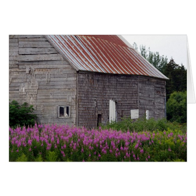 Barn en Flowers (Voorkant Horizontaal)