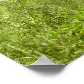 Barn en Outhouse Poster (Hoek)