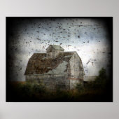 Barn en vogels poster (Voorkant)