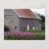 Barn en wilde bloemen briefkaart (Voorkant)