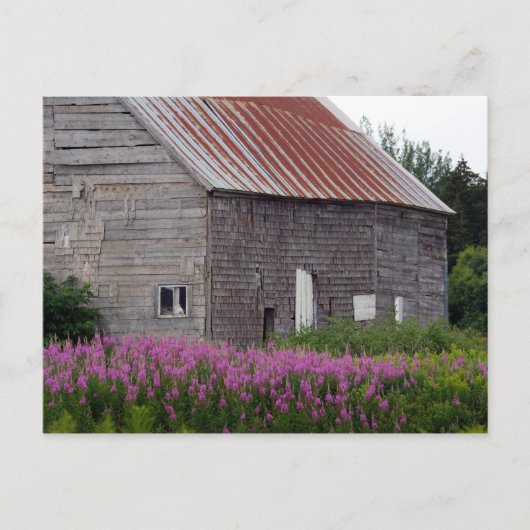 Barn en wilde bloemen briefkaart (Voorkant)