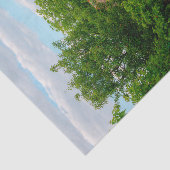 Barn gedecorbeerd met rode bloemen en een omheinin tissuepapier (Detail)