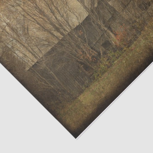 Barn Grunge Texture Sepia  Land Rustic Tissuepapier (Detail)