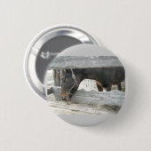 Barn Horse Humor Ronde Button 5,7 Cm (Voorkant /achterkant)