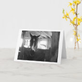 Barn Horse Kaart (Gele Bloem)