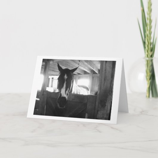 Barn Horse Kaart (Voorkant)