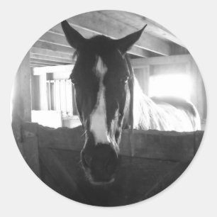 Barn Horse Ronde Sticker