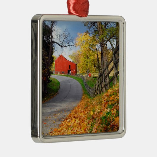Barn in Herfst Metalen Ornament (Rechts)