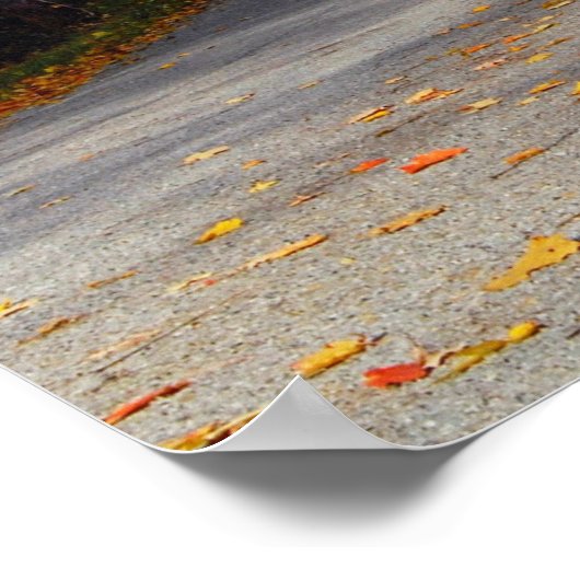 Barn in Herfst Poster (Hoek)