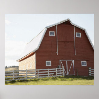 Barn in landschap poster