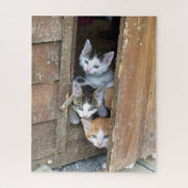 Barn Kittens Legpuzzel (Verticaal)