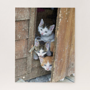 Barn Kittens Legpuzzel