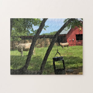 Barn & Koeien, Rural North Carolina Canvas Print M Legpuzzel
