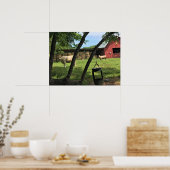 Barn & Koeien, Rural North Carolina Poster (Keuken)