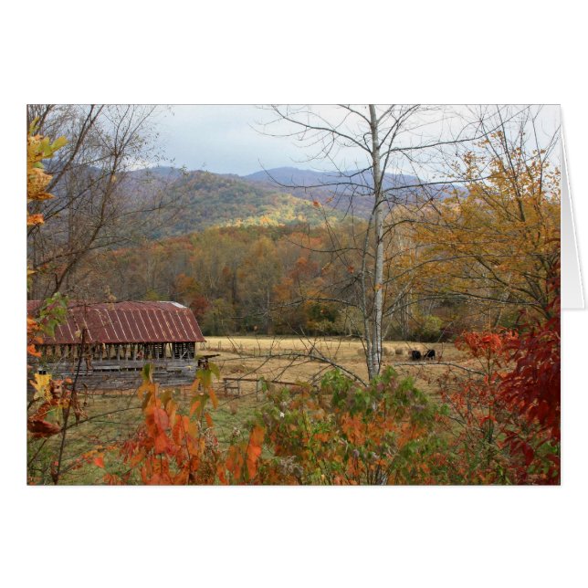 Barn met koeien (Voorkant Horizontaal)