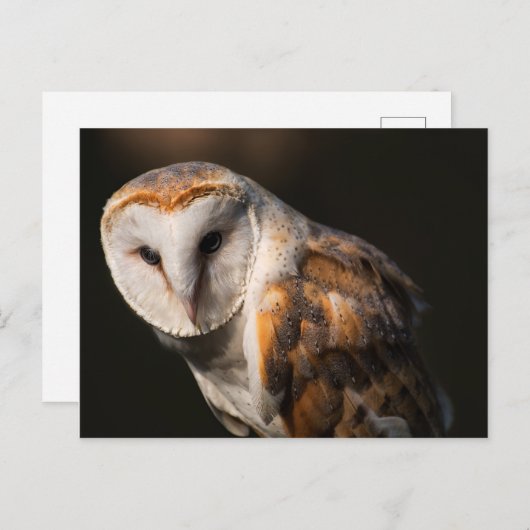 Barn-ogen Briefkaart (Voorkant / Achterkant)