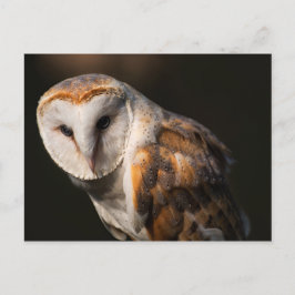 Barn-ogen Briefkaart