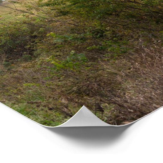 Barn op een heuvel poster (Hoek)