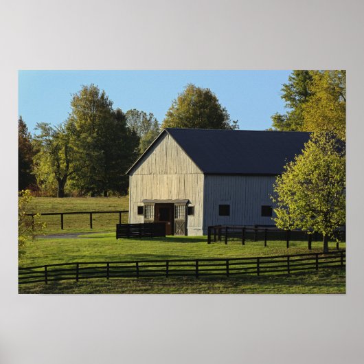 Barn op volbloed boerderij bij zonsopgang, poster (Voorkant)