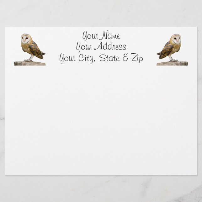 Barn Owl (Voorkant)