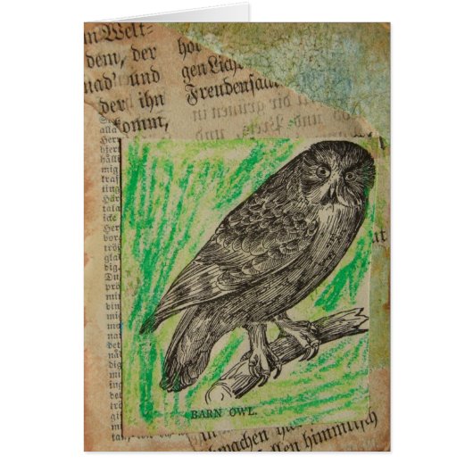 Barn Owl (Voorkant)