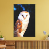 Barn Owl 2 Canvas Afdruk (Insitu (Woonkamer))