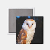 Barn Owl 2 Magneet (Voorkant / Achterkant)