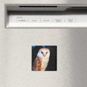 Barn Owl 2 Magneet (Insitu (Vaatwasser))