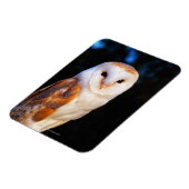 Barn Owl 2 Magneet (Linkerzijde)
