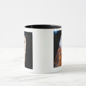 Barn Owl 2 Mok (Midden)