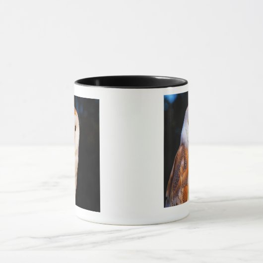 Barn Owl 2 Mok (Midden)