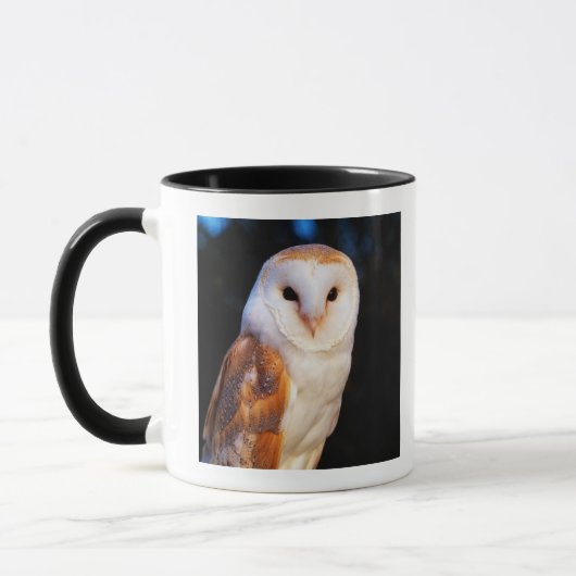 Barn Owl 2 Mok (Links)