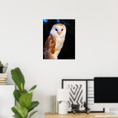 Barn Owl 2 Poster (Thuiskantoor)