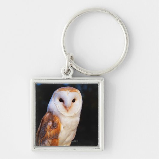 Barn Owl 2 Sleutelhanger (Voorkant)