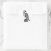 Barn Owl 2 Sticker (Tas)
