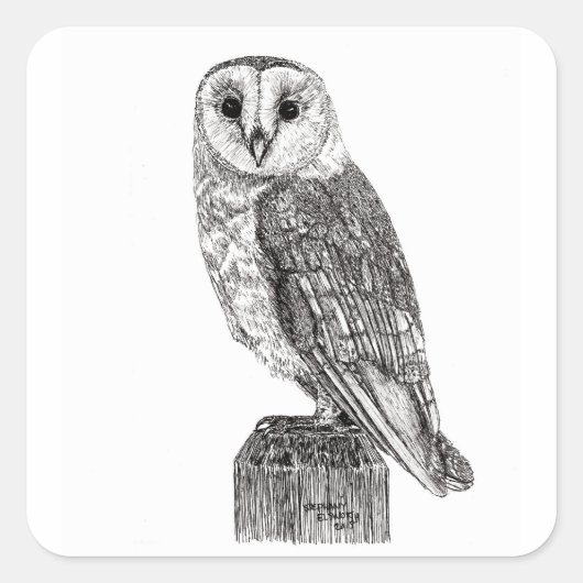 Barn Owl 2 Sticker (Voorkant)