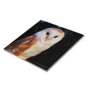 Barn Owl 2 Tegeltje (Zijkant)