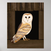 Barn Owl Art Print (Voorkant)