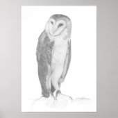 Barn Owl | Art Print (Voorkant)