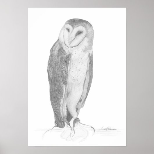 Barn Owl | Art Print (Voorkant)