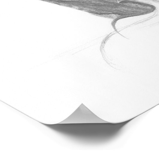 Barn Owl | Art Print (Hoek)